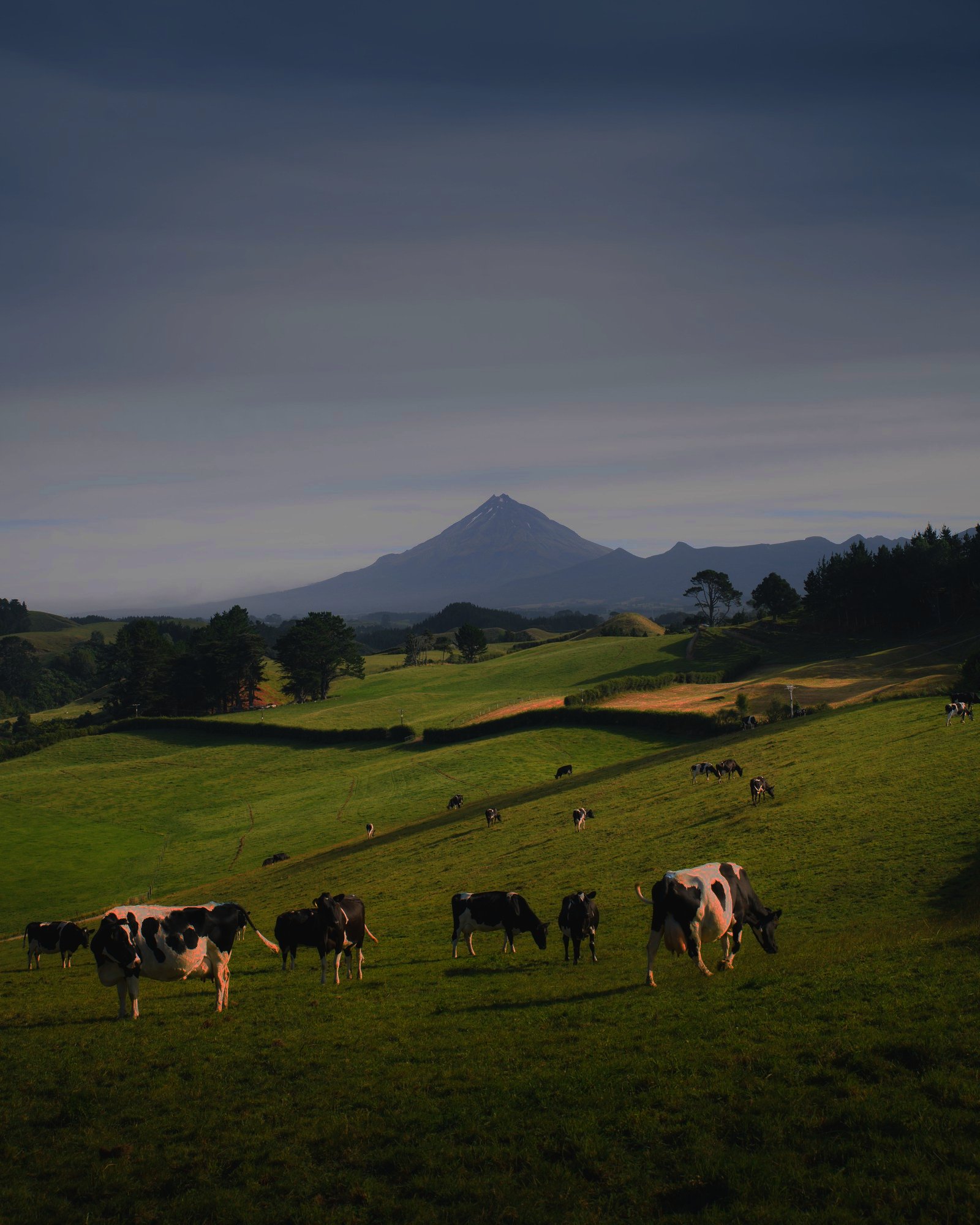 Agriculture landscape